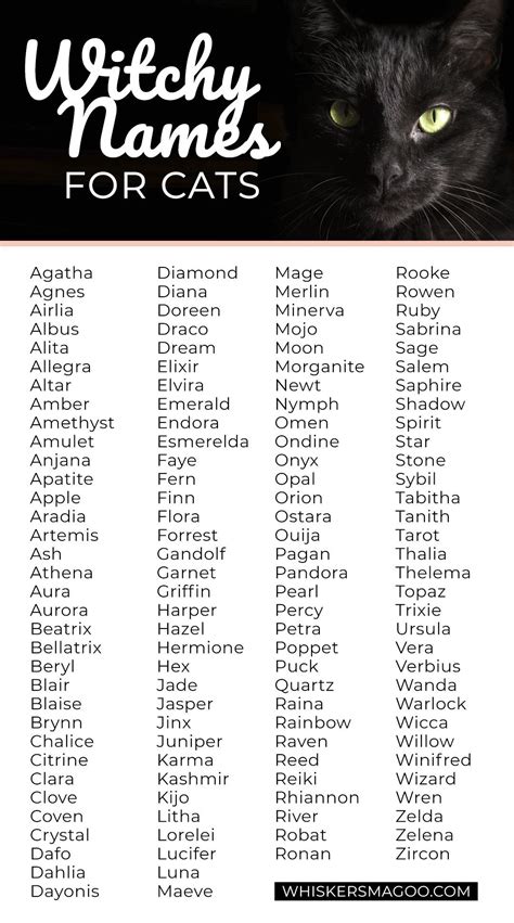Witch pet names